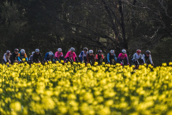 2024 Amys Grand Fondo. 15.09.2024, Lorne, Victoria Australia. (Photo: RaceAtlas / Alexander Polizzi)